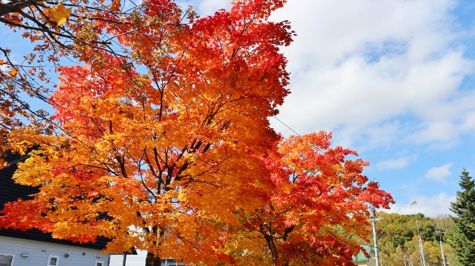 北広島の紅葉の景色。住宅街から近い紅葉スポット。