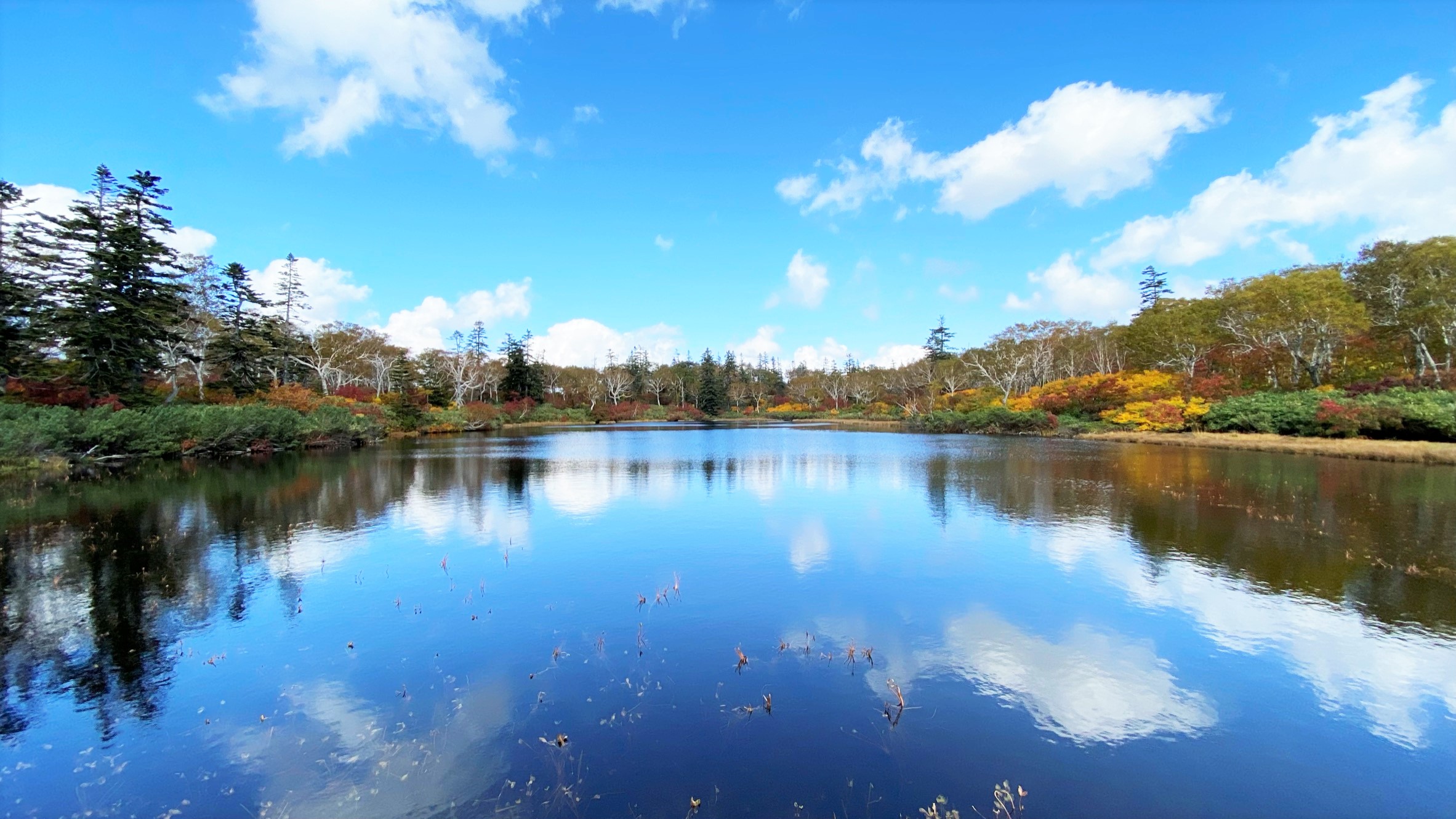 神仙沼は、神様が出そうな素晴らしい景色！｜紅葉の季節｜共和町