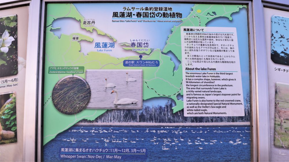 風連湖の解説看板｜北海道旅行